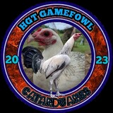 HGTGAMEFOWL