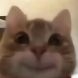 gugu___bing