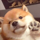kaiszz1