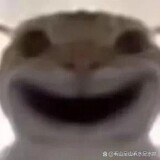 shenyuzhiyu