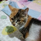 huangsedeyueliang666