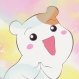hamutaizhuai