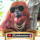 ZiCoAdventure