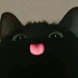 miaosangaz