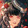 xuanxuankayakaya