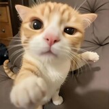 zhiyuxing_