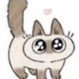 shikamianlaidada