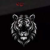Naveed Qamar_7112