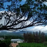___iaoshanren