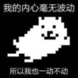genhao_21