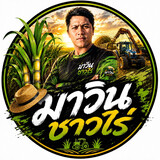 มาวินขาวไร่