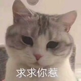 Yikouyigegaolengguai