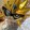 mow___undelta
