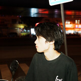 sanyeleaves