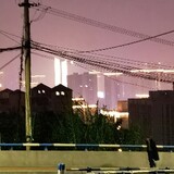 ligeyouqing