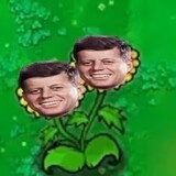 chouxiangzhiwu