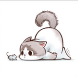 zhuzhuaiyule