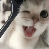 miaowangbiji_