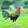 crossfly/backyard/tv