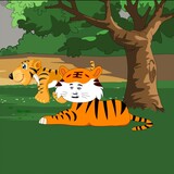 shadiaoxiaohudonghua