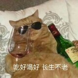 youzi____fang