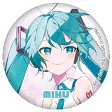 Hatsune_Miku_29