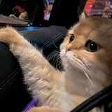 aitoulandezhishengji