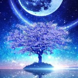 suonianzhongfei
