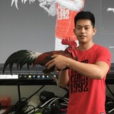 bossingjovz