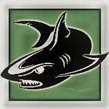 shark-9527