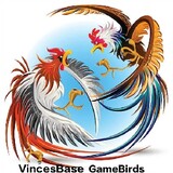 VINCESBASEGAMEBIRDS