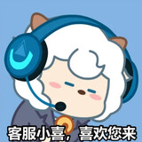 npcyouvlp