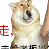 hoshimeko_04