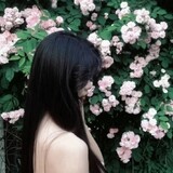 daxueqingbaowang1