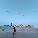 guozishulebiu