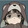 elevenshiyi