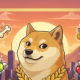 onlydogetv
