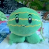 shuangchixigua