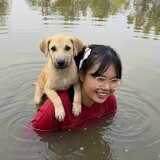 Annalovedog