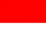 Arta wibu elite