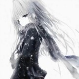 xinsuibaolongshou