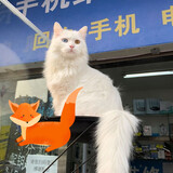 shizi___luyu