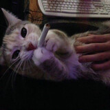 genxingyunshuohaihai