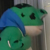cichuwufeng--