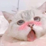 ひかりのゆくてはきめられているのか