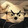 linyi0
