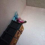 gamingbin97