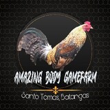 AmazingBodyGamefarm