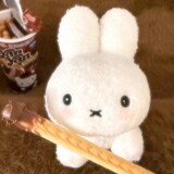 peachpuff_osh