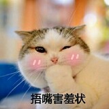 jingtingting